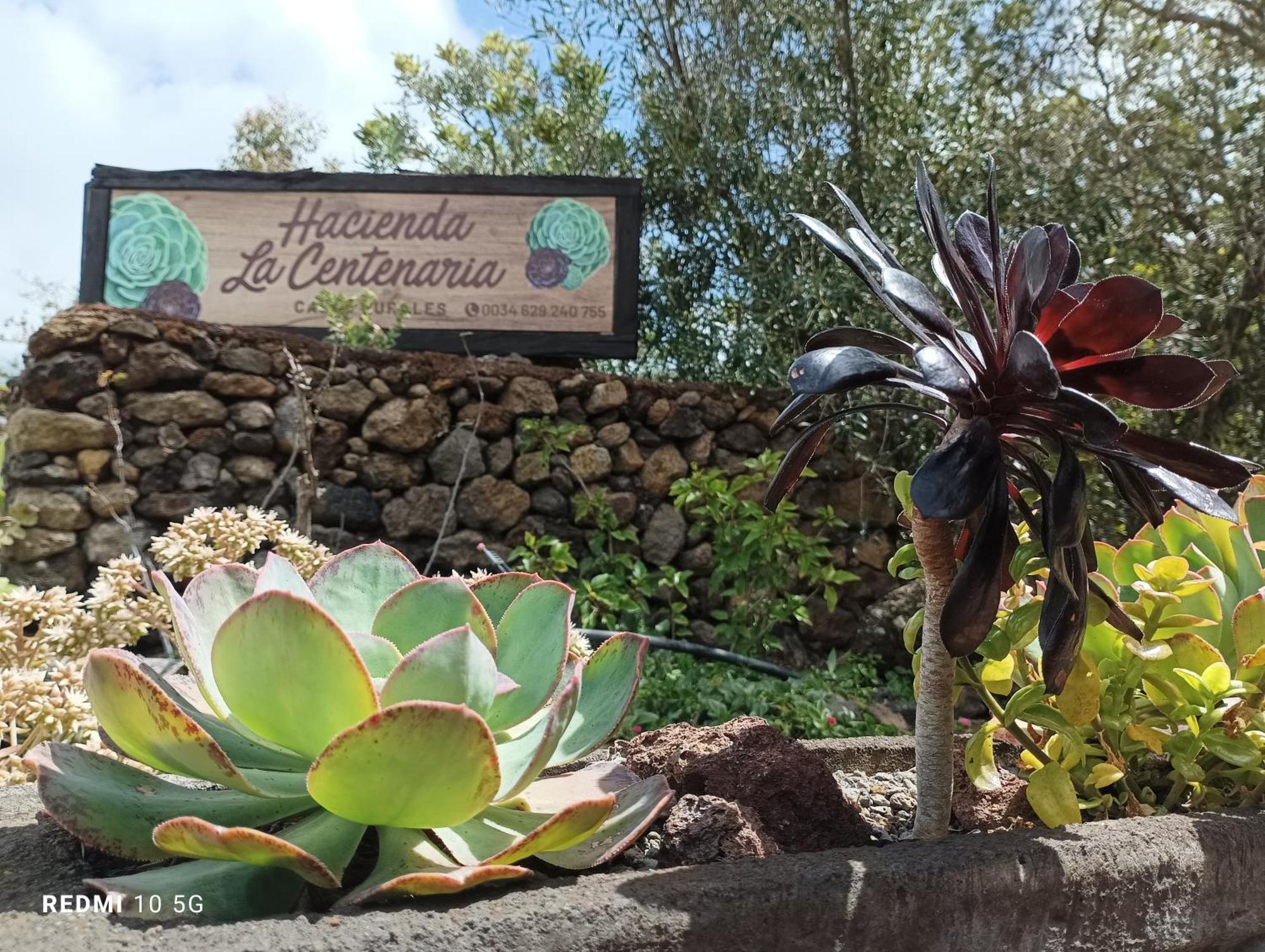Hacienda La Centenaria,Casas Rurales El Paso Exteriör bild